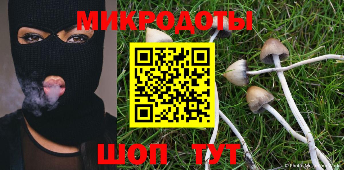 Галлюциногенные грибы Psilocybine cubensis  Вход с VPN  Пенза  Псилоцибиновые грибы Psilocybine cubensis 