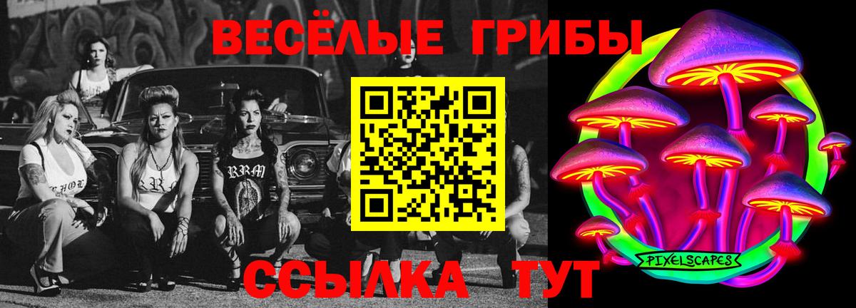 Галлюциногенные грибы мухоморы  Пенза 