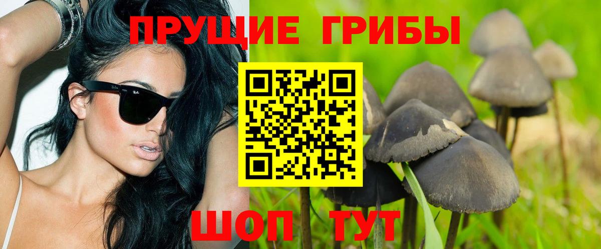 Галлюциногенные грибы мухоморы Пенза